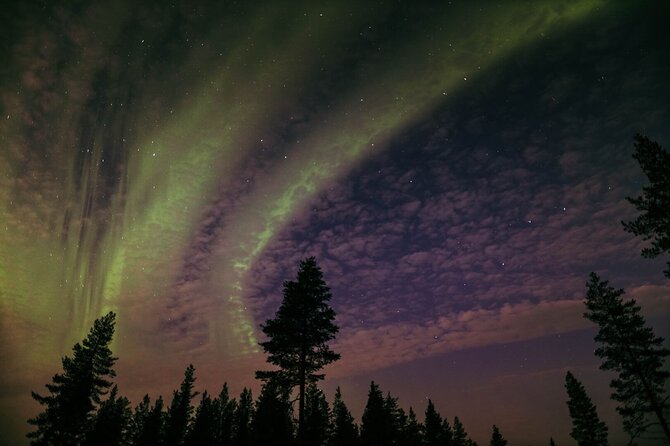 Northern Lights Tour with BBQ and drinks - Northern lights in Rovaniemi at 7:30 pm, and what you’re paying for