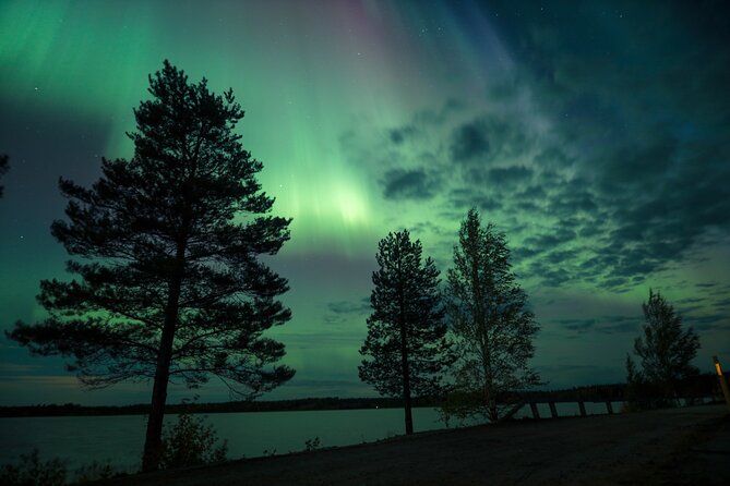 Northern Lights Tour with BBQ and drinks - Price and value at about $139 for 3 hours