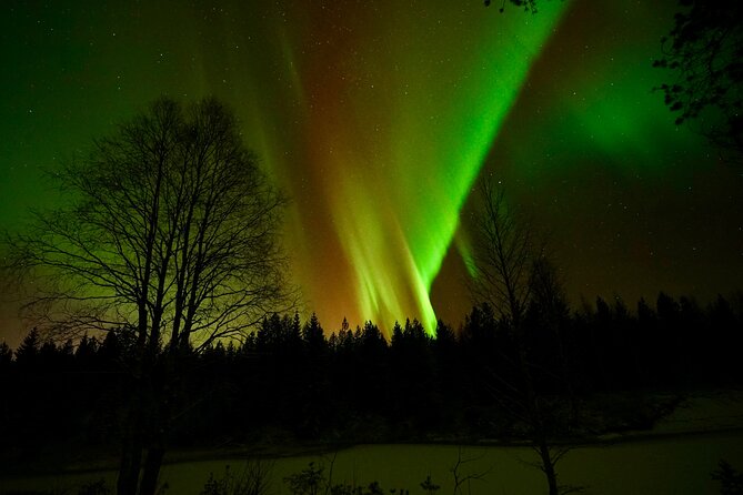 Northern Lights Trip to a Magical Place in Lapland - Group size and comfort: what to expect on the transfer