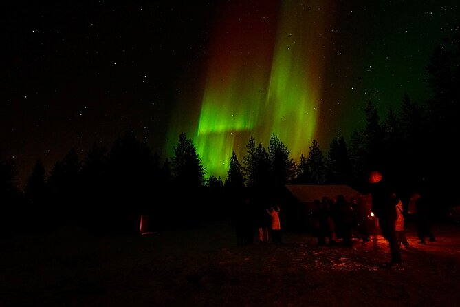 Northern Lights Trip to a Magical Place in Lapland - Who should book this Lapland Northern Lights tour