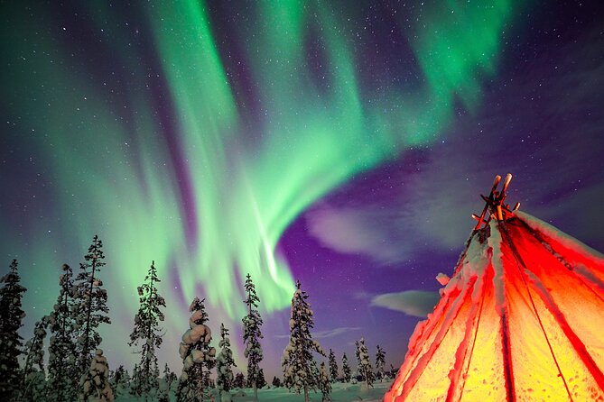 Northern Lights Wilderness Small-Group Tour from Rovaniemi - Key things that make this tour worth your time