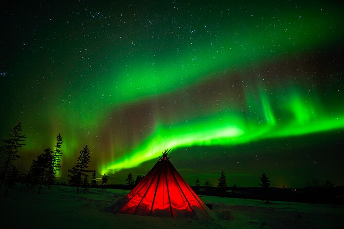 Northern Lights Wilderness Small-Group Tour from Rovaniemi - Photos in the cold: pro camera help, plus what to watch
