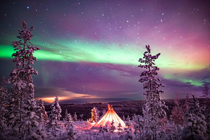 Northern Lights Wilderness Small-Group Tour from Rovaniemi - Small-group comfort and the reality of the van ride