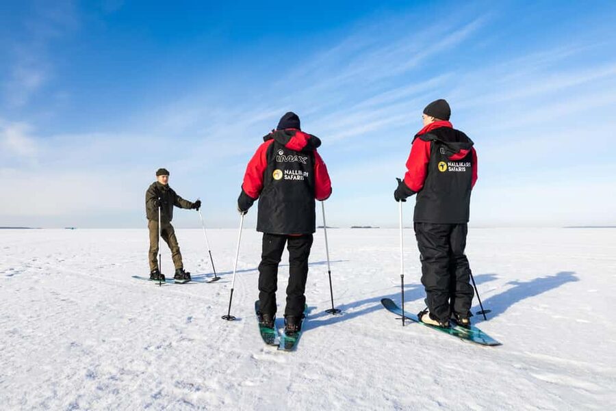 Oulu: Arctic Sea Snowshoe Experience - Walking the Frozen Sea: Flat Route, Big Stillness