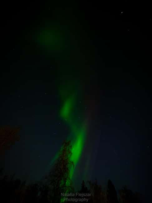 Oulu: Guided Night Walking Tour with Northern Lights Hunting - Languages, guide support, and what you will learn along the way