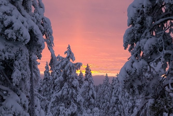 Ounasvaara and Ranua Zoo - How the guide changes the whole day
