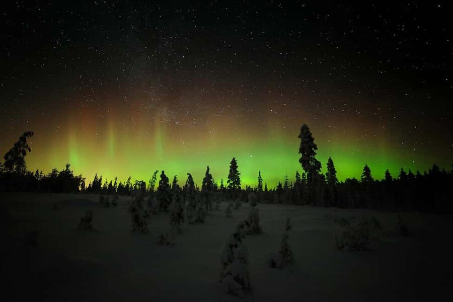 Polar Night Snowshoe Trek - Key points worth knowing before you go