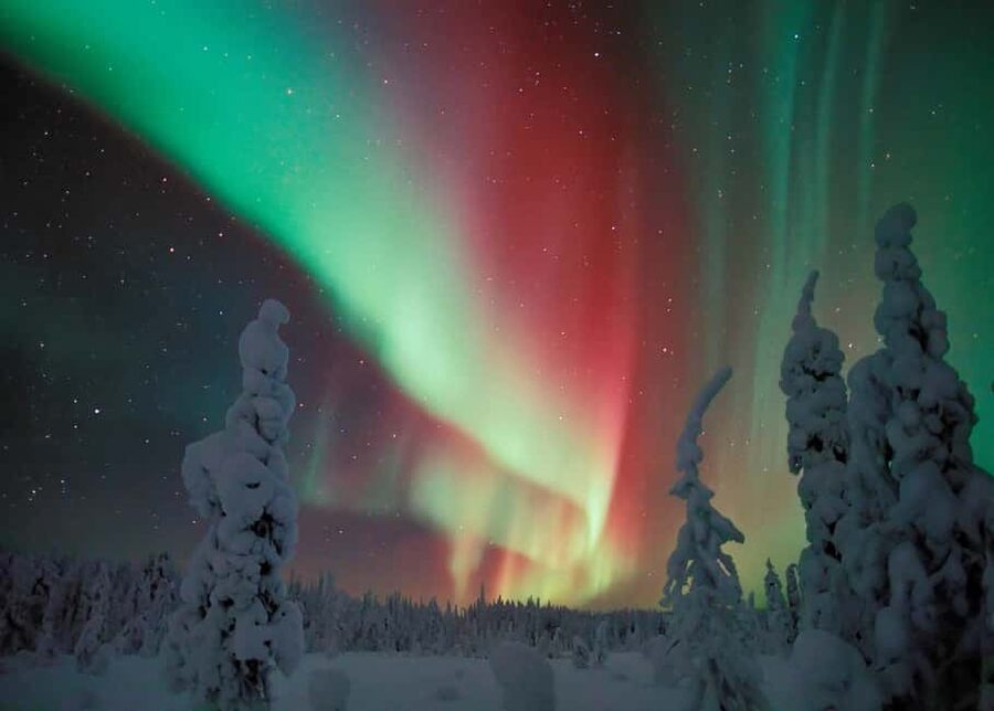 Polar Night Snowshoe Trek - Wildlife Clues in the Snow: Grouse Signs and Reindeer Activity