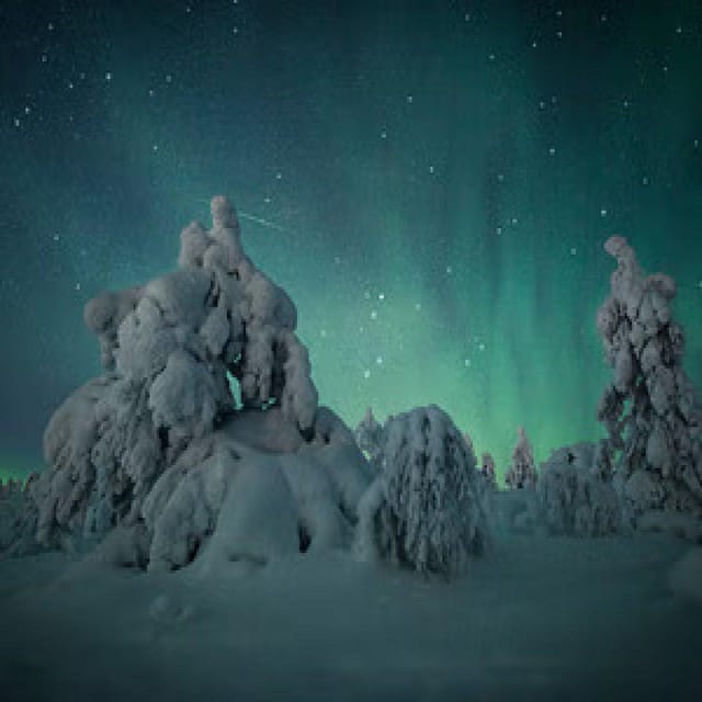 Polar Night Snowshoe Trek - How You’ll Try for the Northern Lights From the Forest