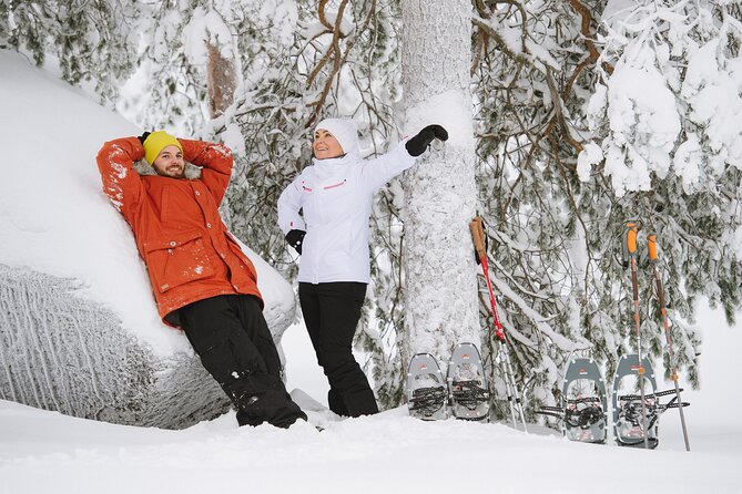 Premium Snowshoeing in Pyhä-Luosto National Park - The 4-hour flow: how the experience typically unfolds