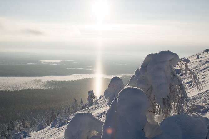 Premium Snowshoeing in Pyhä-Luosto National Park - Bonfire meal and hot berry drinks: the cozy part that can take time