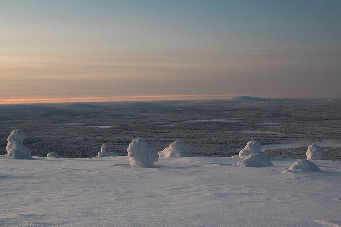 Premium Snowshoeing in Pyhä-Luosto National Park - Walking down into the Arctic taiga forest: where the quiet happens