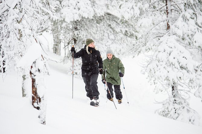 Premium Wilderness Skiing in Pyhä-Luosto National Park - Key highlights you will notice fast