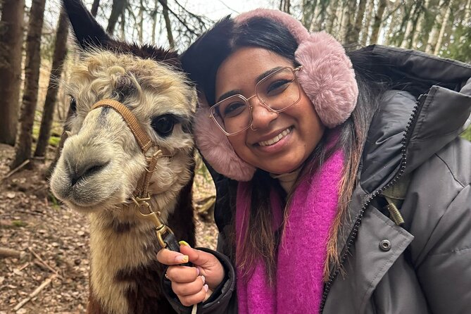PRIVATE Alpaca Guided Forest Walk + Feeding Helsinki - Price and value: $239.65 per person, and what you get for it