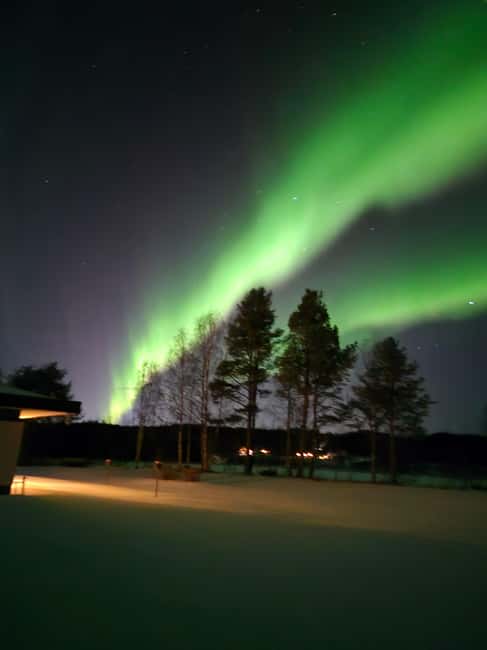 Private and authentic reindeer experience in homefarm - Price and Value: Is $105 Worth It?