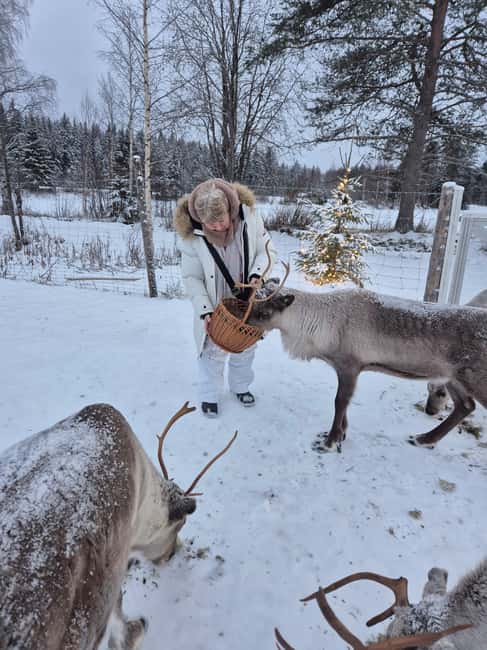 Private and authentic reindeer experience in homefarm - Who This Reindeer Experience Fits Best