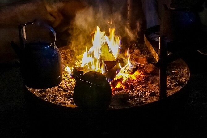 PRIVATE Authentic Reindeer Experience Helsinki - Finnish Kota Time: Hot Drinks, a Roast Bun, and a Real Warm Break