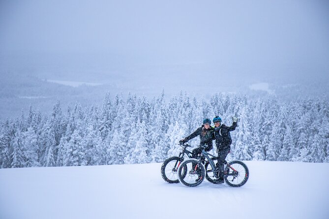 Private Electric Fat Bike Winter Tour in Rovaniemi - Key Points Before You Go
