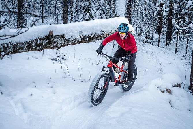 Private Electric Fat Bike Winter Tour in Rovaniemi - Why Electric Fat Bikes Make Sense in Rovaniemi