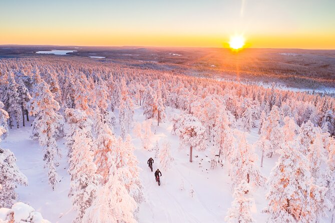 Private Electric Fat Bike Winter Tour in Rovaniemi - What to Watch For, Even With Electric Assist