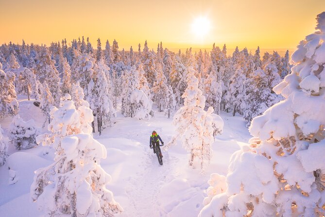 Private Electric Fat Bike Winter Tour in Rovaniemi - Start at Hostel Café Koti, Keep Your Layers Reasonable