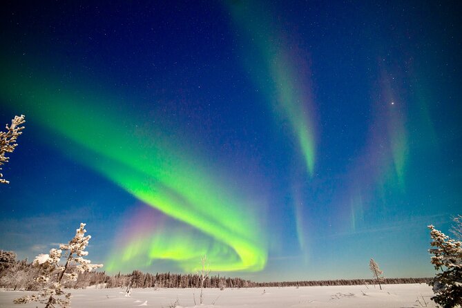 Private Group: Northern Lights Hunt 4x4 SUV with Aurora guarantee - Key things to know before you book