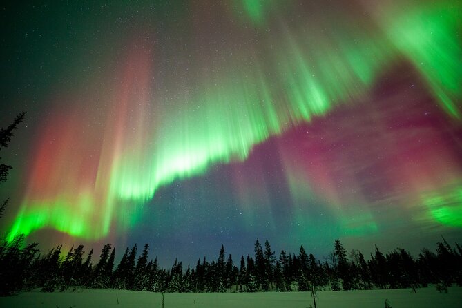 Private Group: Northern Lights Hunt 4x4 SUV with Aurora guarantee - Price and value: what you are really paying for at $324.41