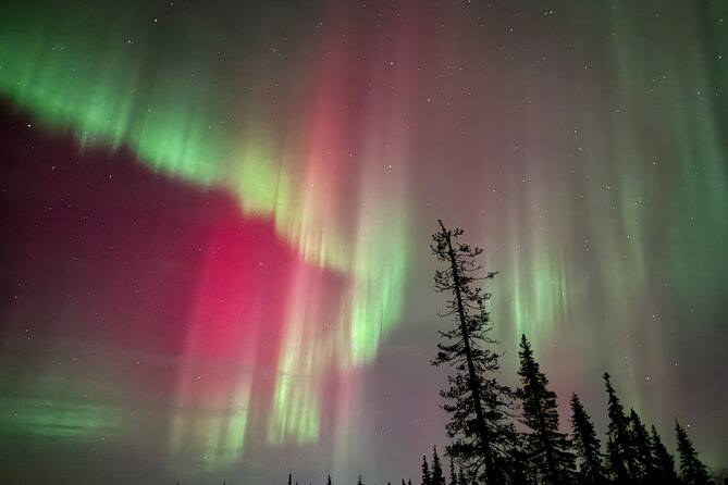 Private Group: Northern Lights Hunt 4x4 SUV with Aurora guarantee - Who this private aurora hunt fits best in your trip