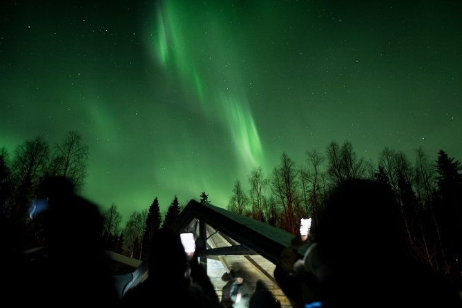 Private Northern Lights Hunting Expedition - Should You Book This Private Aurora Hunt in Rovaniemi?