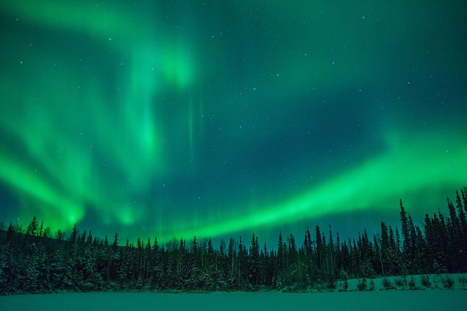 Private Northern Lights Hunting Tour Rovaniemi - Private Transportation With WiFi, Plus Real Pickup Convenience