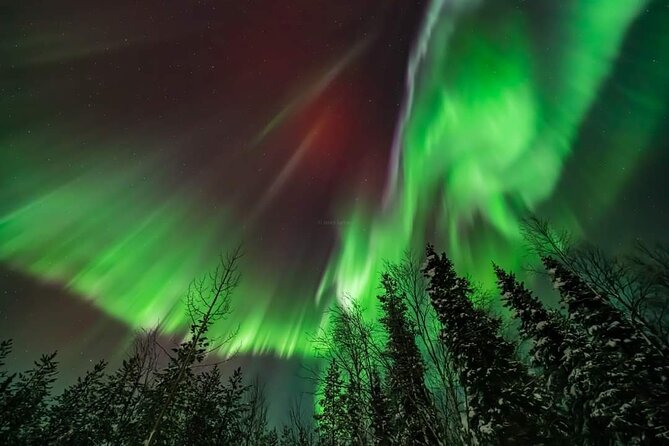 Private Northern Lights Hunting Tour Rovaniemi - Far From Light Pollution, Plus Aurora Stories While You Wait