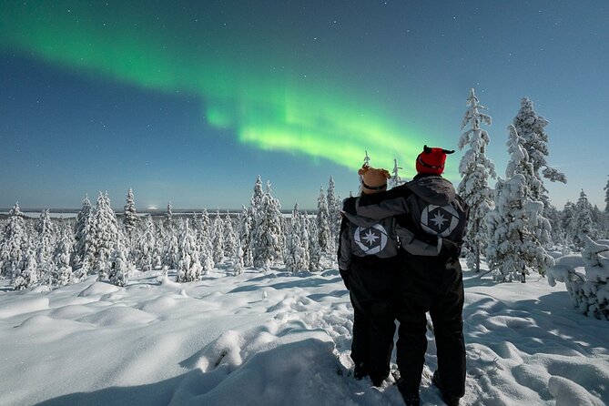 Private Northern Lights photography tour in Rovaniemi - Photo setup and gear: tripods, phone mounts, and real help