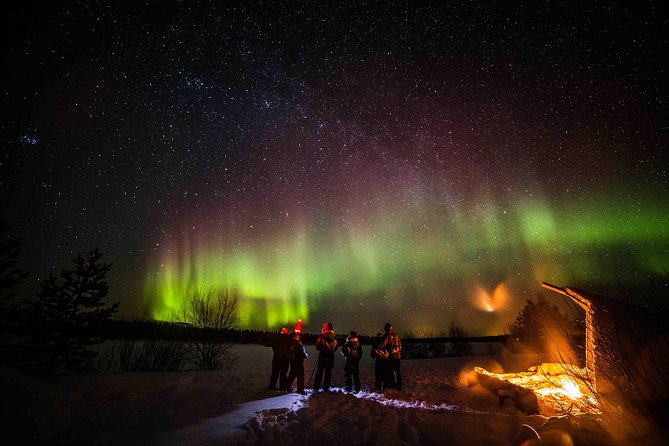 Private Northern Lights photography tour in Rovaniemi - Staying warm and powered up in the Arctic dark