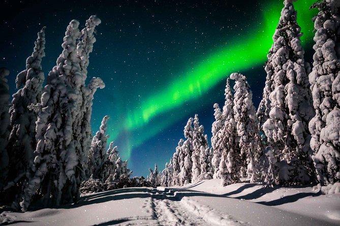 Private Northern Lights photography tour in Rovaniemi - Price and logistics: is $868.91 per group really value?