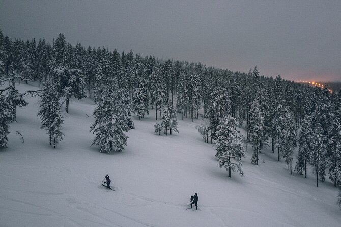 Private Northern Lights Tour With Skis Or Snowshoes in Pyhä - Stop 1: Pyha-Luosto National Park and the feeling of winter navigation