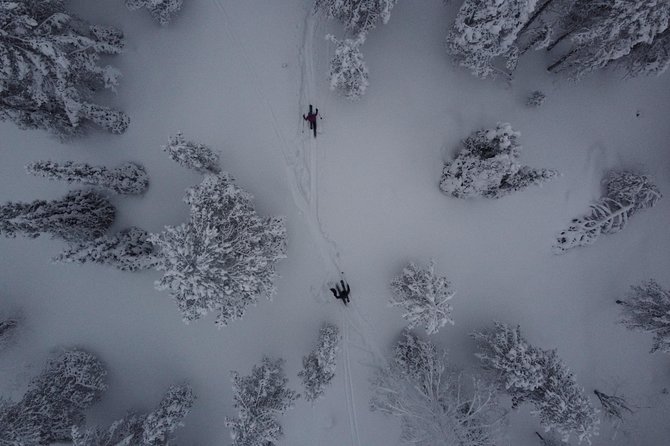 Private Northern Lights Tour With Skis Or Snowshoes in Pyhä - Timing and meeting point: plan your night around 8:00 pm