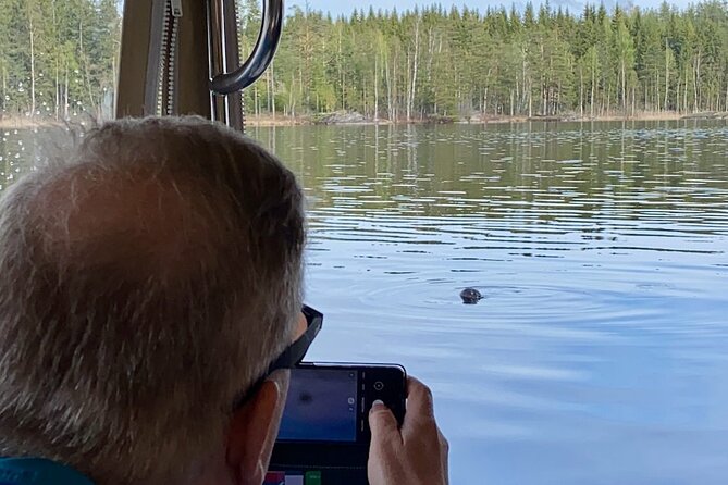 Private Saimaa Story Cruise by Ecoboat in Puumala - Wildlife moments: seals, norppa, and why patience wins