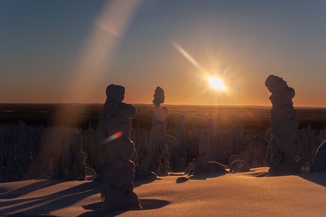 Private Snowshoe or Ski Adventure in Lapland from Rovaniemi - Meeting Point, Pickup, and the 7-Hour Shape of the Day