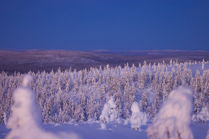Private Snowshoe or Ski Adventure in Lapland from Rovaniemi - Key Highlights You Should Know Before You Go