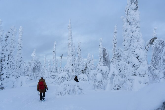 Private Snowshoe or Ski Adventure in Lapland from Rovaniemi - The Open-Fire Snack Stop: Why It Changes the Day