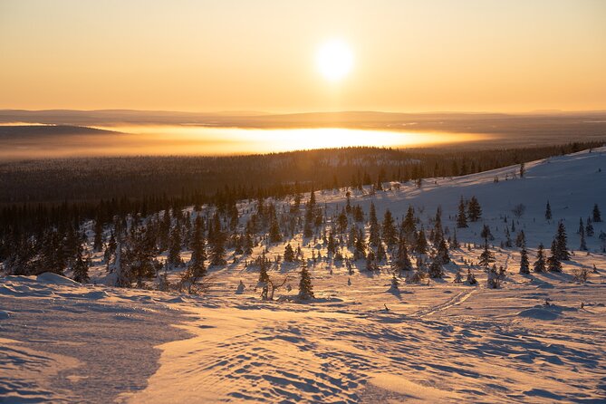 Private Snowshoe or Ski Adventure in Lapland from Rovaniemi - Snowshoes vs. Ski Hikes: The Same Wild Feeling, Different Workouts