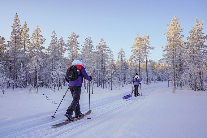 Private Snowshoe or Ski Adventure in Lapland from Rovaniemi - Timing and Pace: How to Make a 7-Hour Day Feel Good