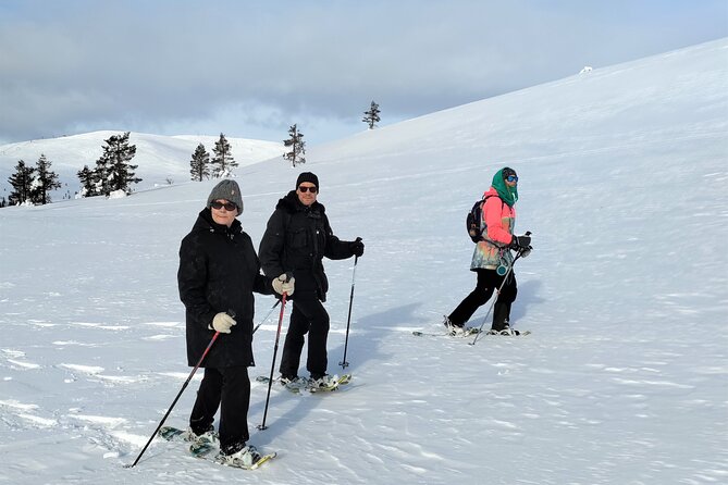 Private Snowshoeing in Levi - Weather reality check in Levi