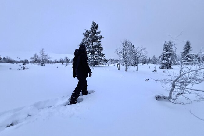 Private: Snowshoeing Safari in spectacular National Park - Pallas-Yllastunturi: why this area makes snowshoeing feel special