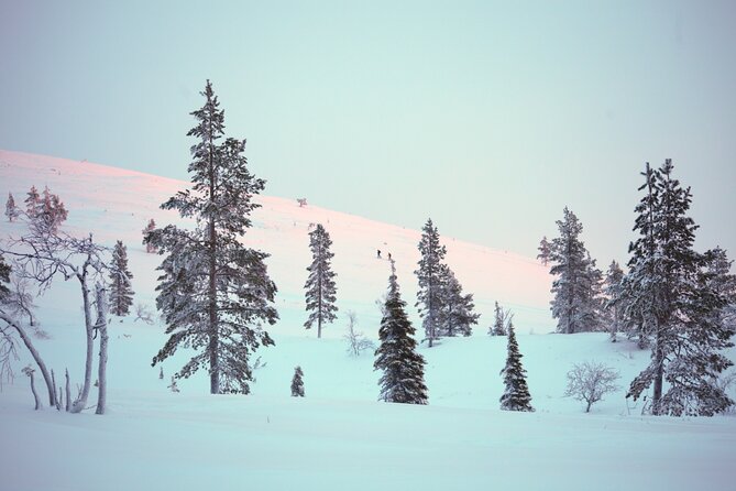 Private: Snowshoeing Safari in spectacular National Park - Who should book this snowshoe safari, and who should skip it
