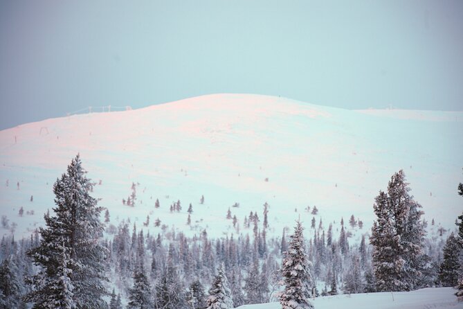 Private: Snowshoeing Safari in spectacular National Park - The main stop: snowshoeing on the Pallas fells (and what to expect)