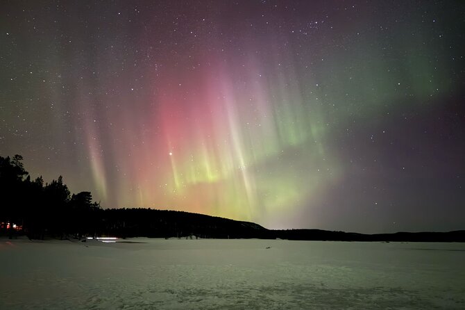 PRO Northern Lights Experience in Rovaniemi - Pickup, mobile tickets, and an English-first setup