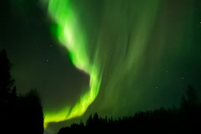 PRO Northern Lights Experience in Rovaniemi - Weather rules and how to plan your odds