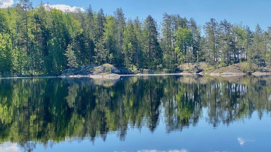Puumala: Lake Saimaa Seal Watching Cruise - Puumala’s Lake Saimaa: where seals have a home