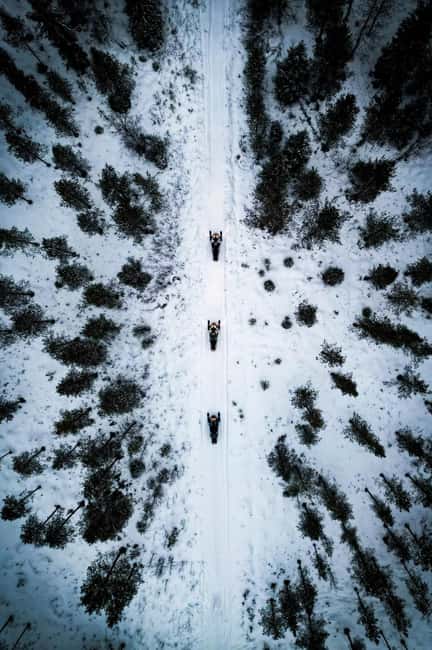 Pyhä: Forest Trails Snowmobile Safari - First lessons on the Skidoo or Lynx 600 cc snowmobile